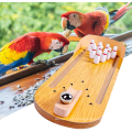 jouets d&#39;oiseau perroquet en bois